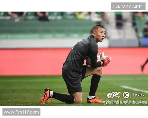 属狗足球明星：展现拼搏精神与忠诚品质的球场英雄们